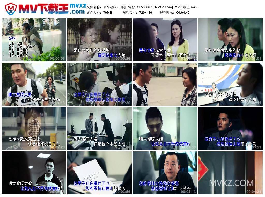 畅享-嫂妈_国语_流行_YE500667